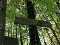 Herbstwanderung 9.10.21_29