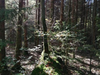 Herbstwanderung 9.10.21