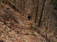 Ausflug rund um Wirsberg 3. April_13