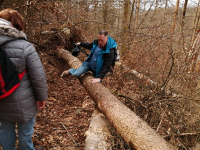Ausflug rund um Wirsberg 3. April_16