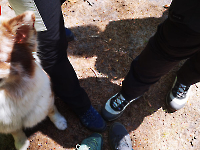 Ausflug Midnights Juni 24