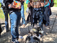 Ausflug Midnights Juni 24_31