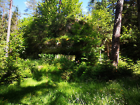 Ausflug Midnights Juni 24_9